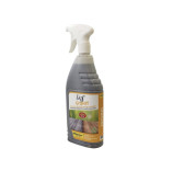 Lios GRIGIOFF  1 LT