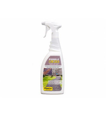 PEBBLE BLOCK (750ml) -Legante per ghiaia e ghiaietto