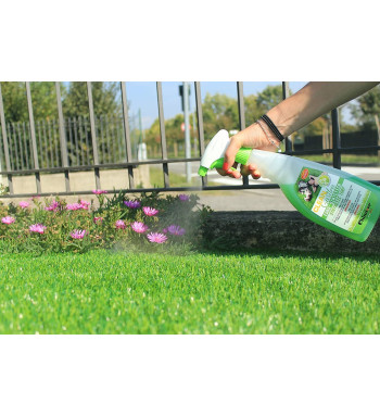 CLEAN GARDEN PRONTO  0.75 LT