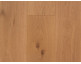 Assiti di Rovere Europeo Rustico Rovere Natural