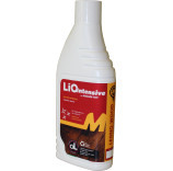 LIO Intensive