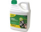 CLEAN GARDEN CONCENTRATO 5L - Chimiver Detergente concentrato per la Pulizia di Prati in Erba Sintetica